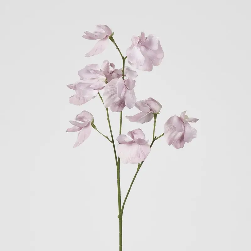 White And Purple Jane Sweet Pea Stem – 60Cm 1