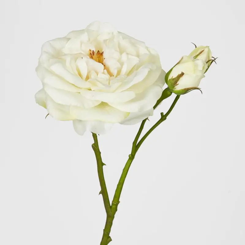White Angelina Rose Spray – Premium Real-Touch Floral Stem 1