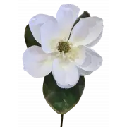 White Magnolia Artificial Stem – 74Cm Realistic Botanical Accent 1