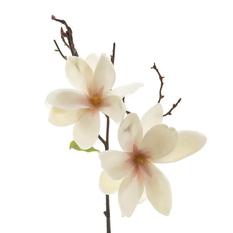White Magnolia Stem – 70Cm Lifelike Botanical Branch 1