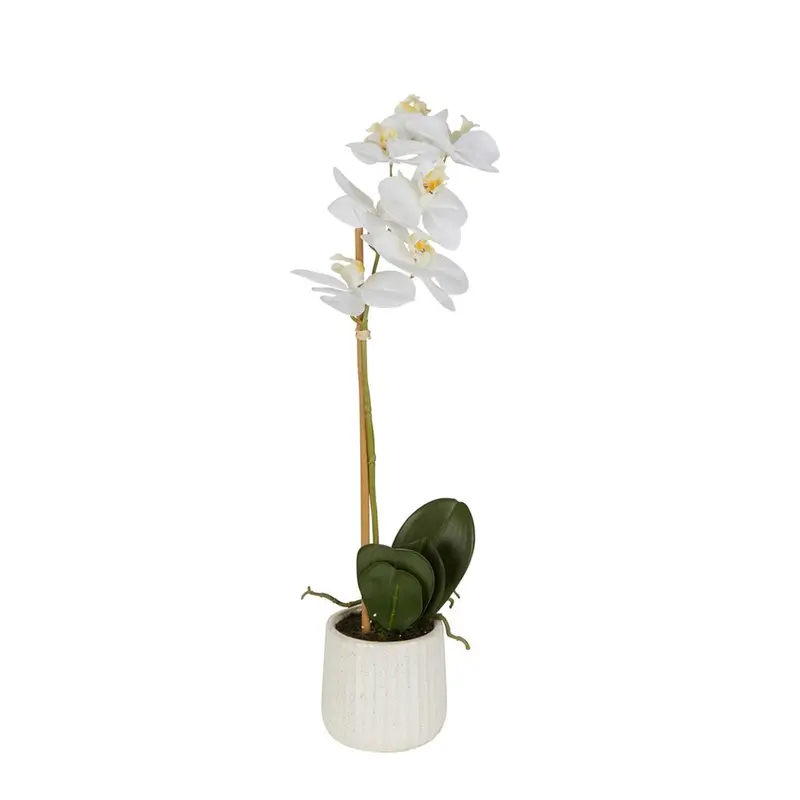 White Orchid In Ceramic Planter – 50Cm Tall Statement Plant 1