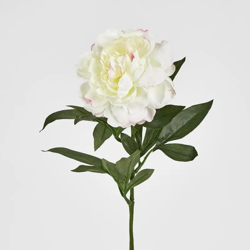 White Peony Artificial Stem, 66Cm Large-Scale Realistic Blossom 1