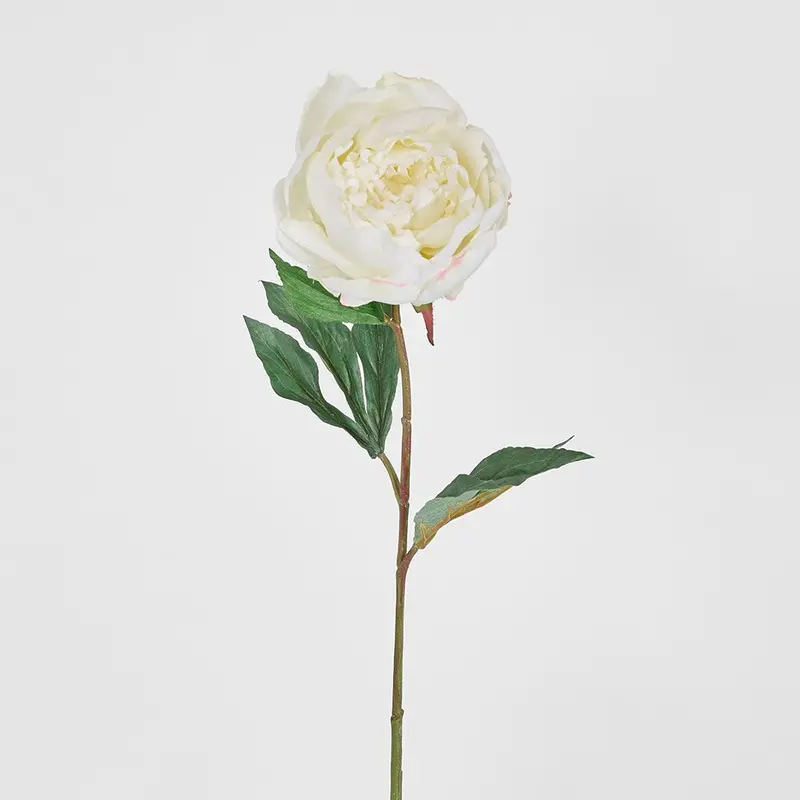 White Peony Stem – Half-Open Bloom, 70Cm Realistic Faux Flower 1
