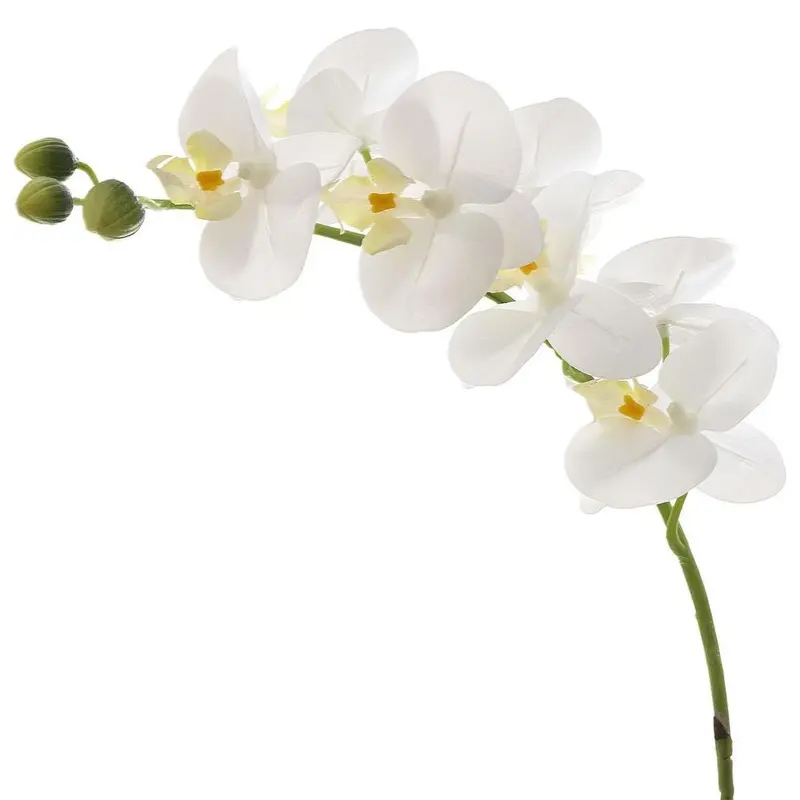 White Phalaenopsis Orchid – Lifelike 75Cm Real-Touch Arrangement 1