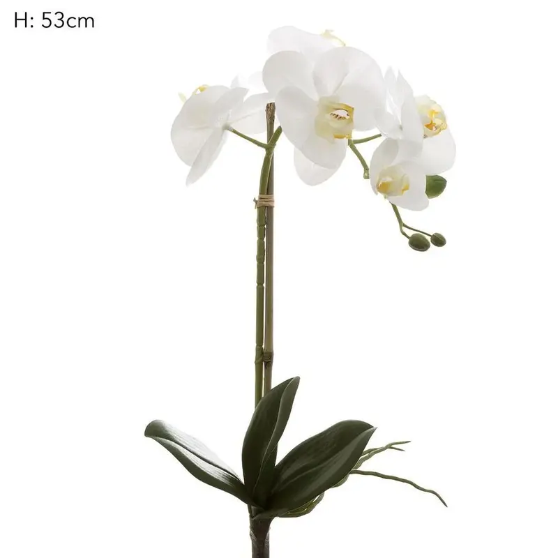 White Phalaenopsis Orchid – Real-Touch 53Cm Stem With Foliage 1