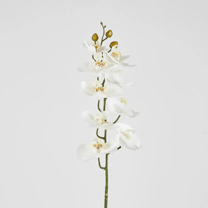 White Phalaenopsis Orchid Stem – Realistic Artificial Flower 1