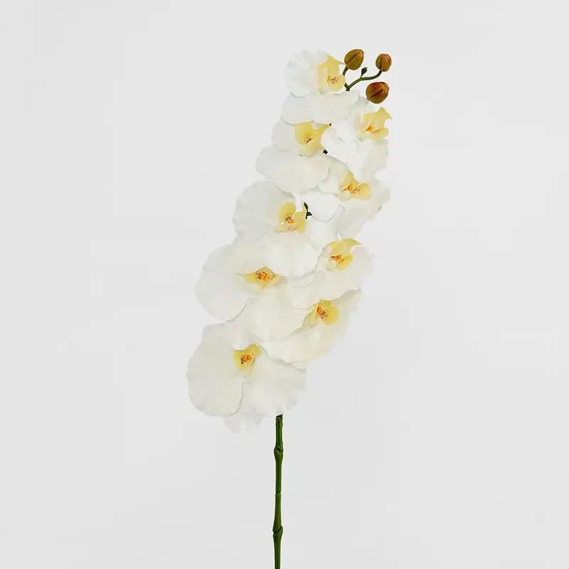 White Ripple Phalaenopsis Artificial Orchid Stem 1