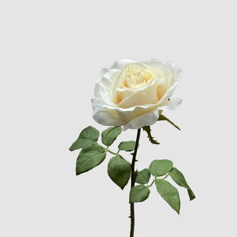 White Rose Spray Arrangement – 53Cm 1