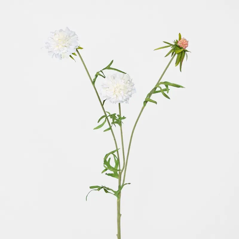 White Scabiosa Stem – Botanical-Inspired Artificial Flower 1