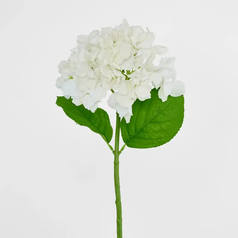 White Soft Touch Hydrangea Stem – 50Cm 1