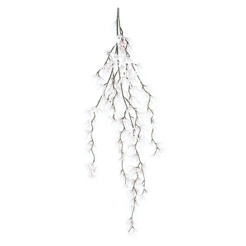 White Spider Orchid Hanging Plant – 1.1M Cascading Design 1