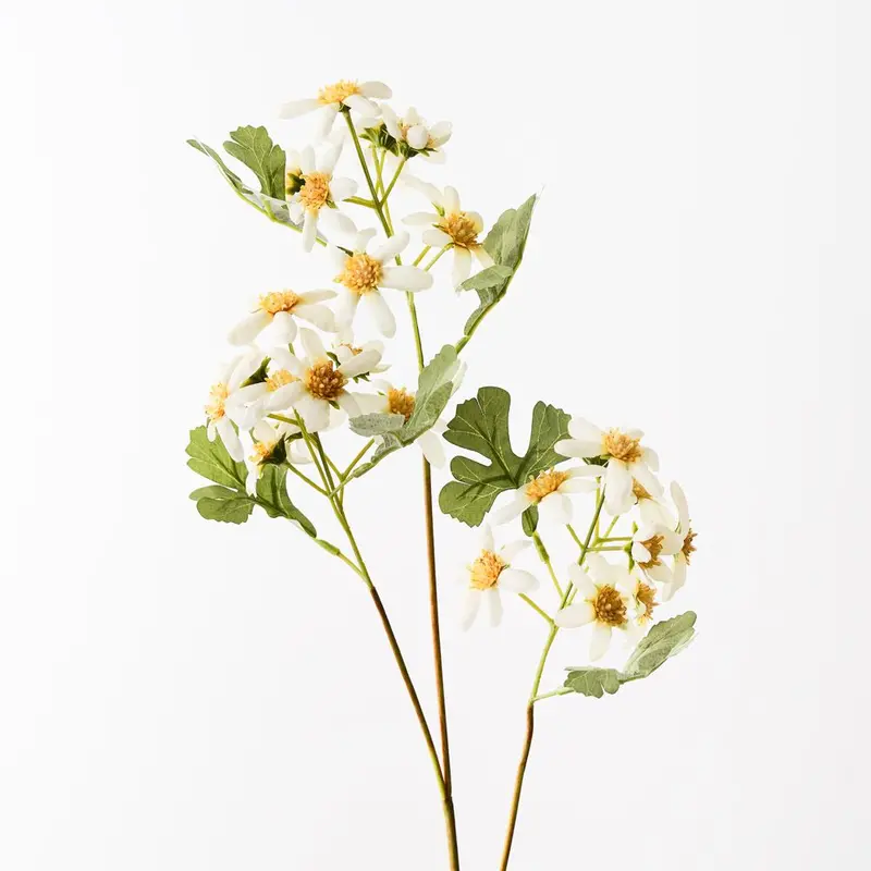 Wild Daisy Spray – 12-Stem Floral Bundle 1