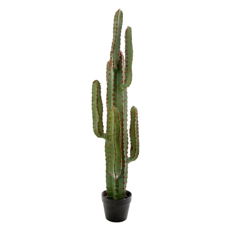 Xl Desert Cactus – 1.15M Tall Sculptural Succulent 1