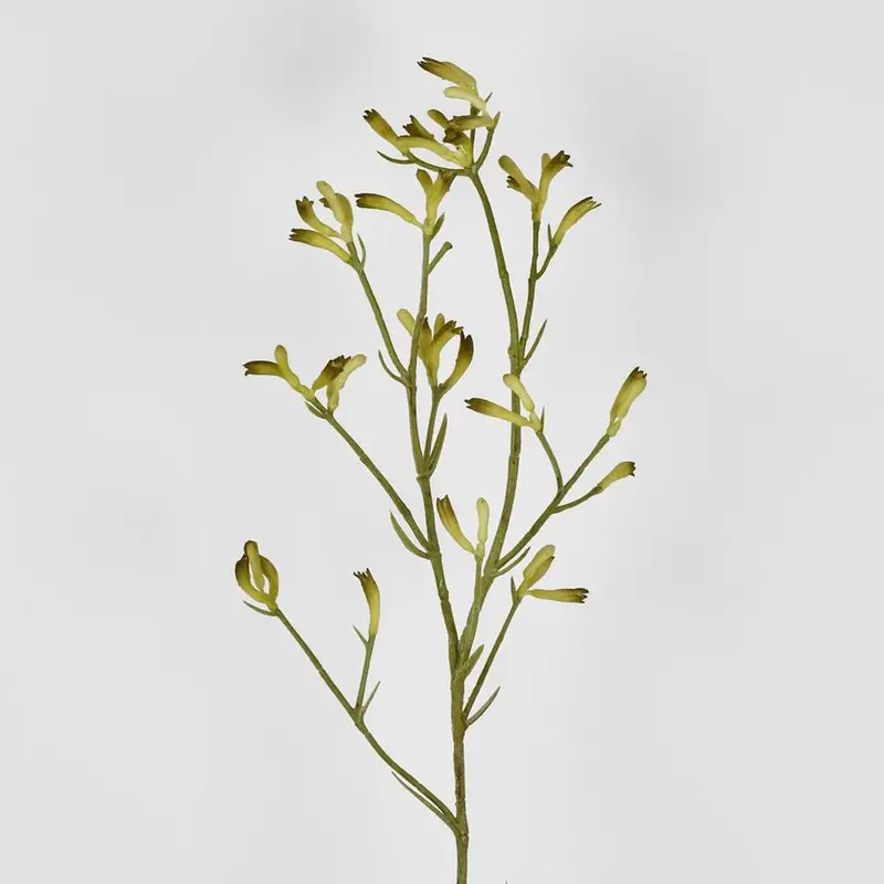 Yellow Kangaroo Paw Artificial Stem – 102Cm 1