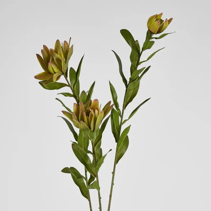 Yellow Leucadendron Artificial Spray – 100Cm 1