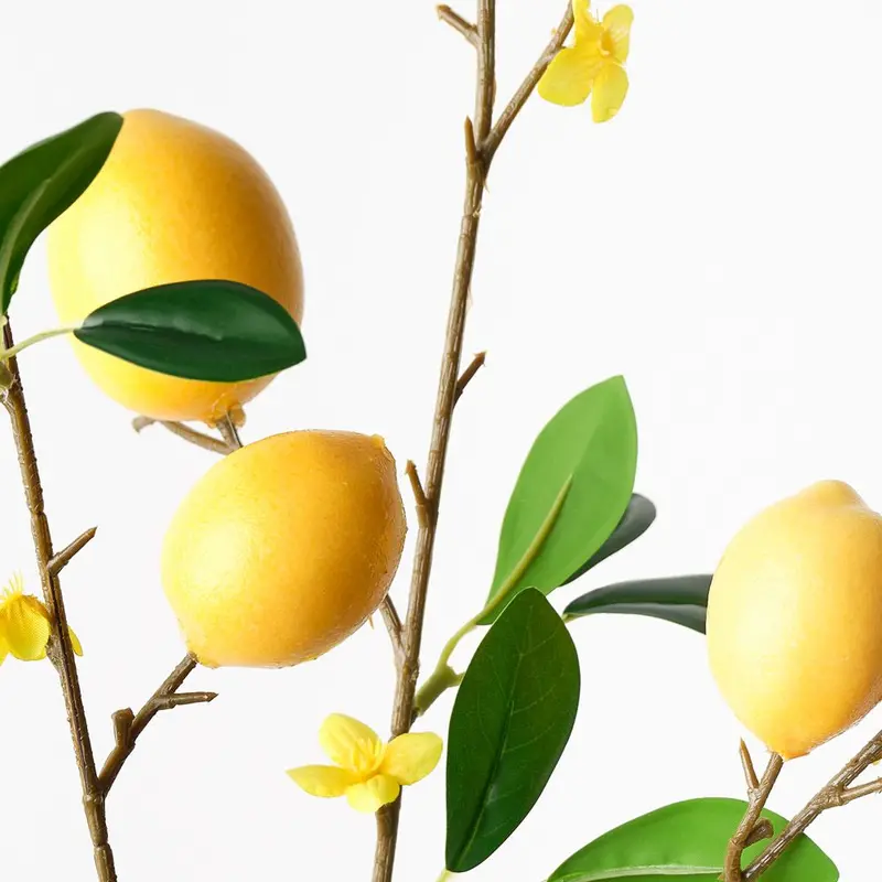 Zesty Lemon Botanical Spray (Pack Of 12) 1